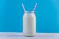 Glass bottle of fresh milk with two straws on blue background. Colorful minimalism. Healthy dairy products Royalty Free Stock Photo