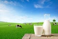 Glass and bottle of fresh milk on wooden table Royalty Free Stock Photo