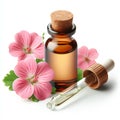 glass bottle of geranium essential oil on white background Royalty Free Stock Photo