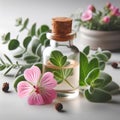 glass bottle of geranium essential oil on white background Royalty Free Stock Photo