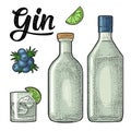 Glass and bottle gin and branch juniper. Vintage vector color engraving Royalty Free Stock Photo