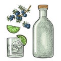 Glass and bottle gin and branch juniper. Vintage vector color engraving Royalty Free Stock Photo