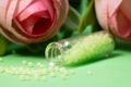 glass bottle with green granules and roses in the background. homeopathic remedies Royalty Free Stock Photo