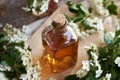 A glass bottle of herbal tincture with fresh hawthorn or Crataegus laevigata flowers in spring Royalty Free Stock Photo