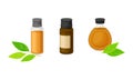 Glass Bottle and Jar with Essential Oil of Sandalwood Vector Set