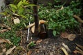 Glass bottle junk dumped