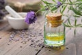 Bottle of lavender essential oil, fresh and dried lavender flowers on background Royalty Free Stock Photo