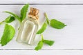 Glass bottle of melissa lemon balm essential oil with fresh melissa leaves Royalty Free Stock Photo