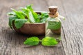 Glass bottle of melissa lemon balm essential oil with fresh melissa leaves Royalty Free Stock Photo