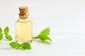 Glass bottle of melissa lemon balm essential oil with fresh melissa leaves Royalty Free Stock Photo