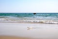 Glass bottle with message inside buried in beach sand. Royalty Free Stock Photo