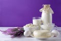 Glass and a bottle of milk, a plate of cottage cheese, cheese, white raw eggs, sour cream in a gravy boat, lilac lavender flowers Royalty Free Stock Photo