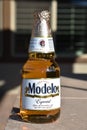 Bottle of Modelo Especial beer Royalty Free Stock Photo
