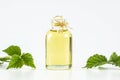 Glass bottle of nettle essential oil with fresh nettle twigs and leaves isolated on white background