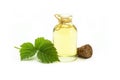 Glass bottle of nettle essential oil with fresh nettle twigs and leaves isolated on white background