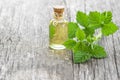 Glass bottle of nettle essential oil with fresh nettle twigs and leaves on white wooden background