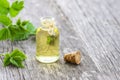 Glass bottle of nettle essential oil with fresh nettle twigs and leaves on white wooden background