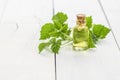 Glass bottle of nettle essential oil with fresh nettle twigs and leaves on white wooden background