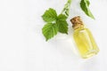 Glass bottle of nettle essential oil with fresh nettle twigs and leaves on white wooden background