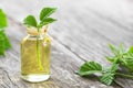 Glass bottle of nettle essential oil with fresh nettle twigs and leaves on white wooden background