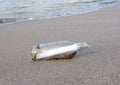 Glass bottle with note message on tropical beach Royalty Free Stock Photo