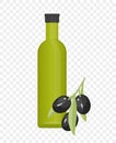 Glass bottle olive oil with black olives illustrtaion. Black olives tree branch with olive vegetable tree fruit vector design