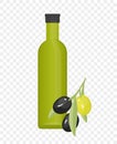 Glass bottle olive oil with green and black olives illustrtaion. Green and black olives tree branch