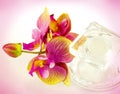 Glass bottle and orchids Royalty Free Stock Photo