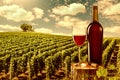 Glass and bottle of red wine against vineyard landscape Royalty Free Stock Photo