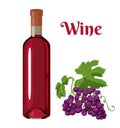 Glass bottle with red wine and bunch of dark grapes isolated Royalty Free Stock Photo