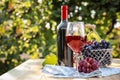 Glass and bottle of red wine with fresh grapes on wooden table in vineyard Royalty Free Stock Photo