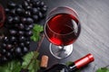 Glass and bottle of red wine and fresh ripe juicy Royalty Free Stock Photo