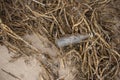 Glass bottle and reeds, garbage on the beach. Environmental pollution