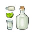 Glass, bottle tequila, salt and lime. Color vector illustration isolated on white