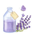 Glass bottle with tag, lilac essential oil, bouquet lavender, purple butterfly. Cosmetic, aromatherapy. Hand draw