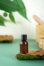 Glass bottle with tea tree essential oil standing on the bark of a tree. Cosmetic essence. Fresh green branches and Royalty Free Stock Photo