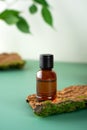 Glass bottle with tea tree essential oil standing on the bark of a tree. Cosmetic essence. Fresh green branches and Royalty Free Stock Photo