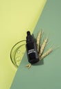 Glass bottle of wheat sprouts oil with dropper laying on a green background. Wheat germ ears and a vial of essential oil. Cosmetic Royalty Free Stock Photo