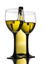 Glass and bottle of white wine Royalty Free Stock Photo