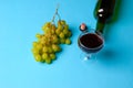Glass, bottle of wine, green grapes on a blue background Royalty Free Stock Photo