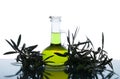 Glass bottle wtih extra virgin olive oil and olive branches. Olive tree brunch with olives