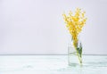 glass bottle with yellow mimosa flowers stand on a wet glass background. concept of 8 March happy women\'s day