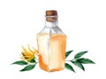 Glass bottle with ylang ylang aromatic oil.