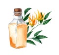 Glass bottle with ylang ylang aromatic oil.