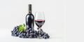 A glass and a bottle of Zinfandel wine on a white isolated background, with space Royalty Free Stock Photo