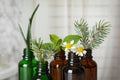 Glass bottles of different essential oils with plants against blurred background