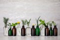 Glass bottles of different essential oils with plants