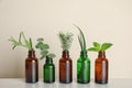 Glass bottles of different essential oils with plants Royalty Free Stock Photo