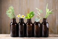 Glass bottles of different  oils with plants on table Royalty Free Stock Photo
