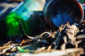 Glass bottles left in the forest - nature pollution issue Royalty Free Stock Photo